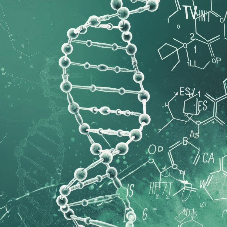 Nukleotide:   Einfach erklärt