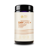 DAYCARE PLUS