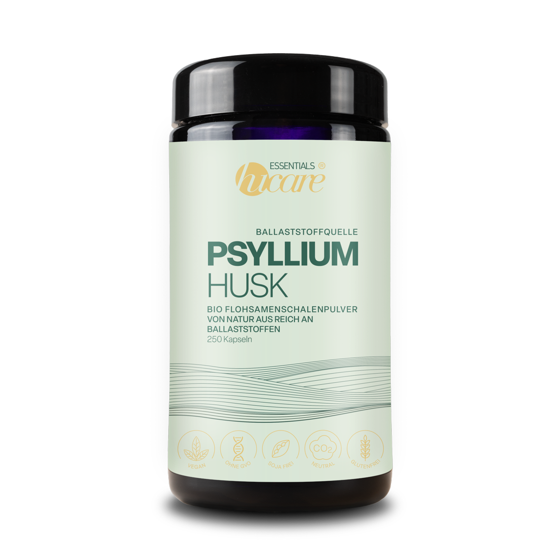 PSYLLIUM HUSK