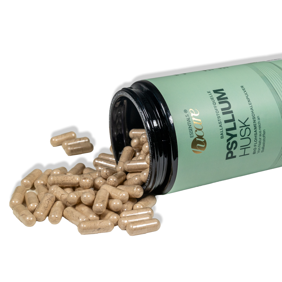 PSYLLIUM HUSK