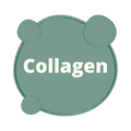 Kollagenhydrolysat